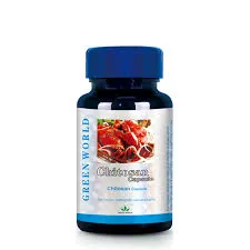 Chitosan Capsule