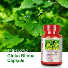 Ginkgo Biloba
